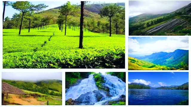 Discover the Magic of Munnar Kerala: A Traveler's Guide