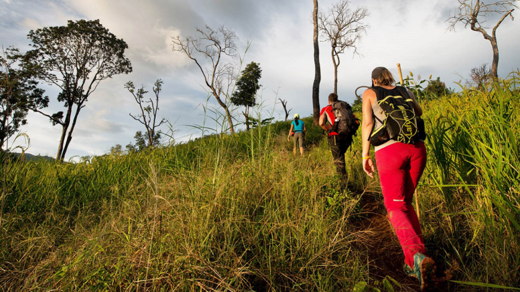 Wayanad: The Ultimate Destination for Nature Lovers