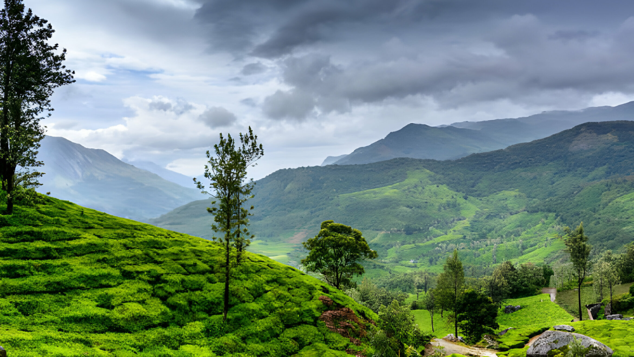 Wayanad: The Ultimate Destination for Nature Lovers