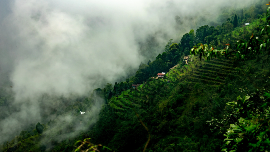 10 Charming Hill Stations in India